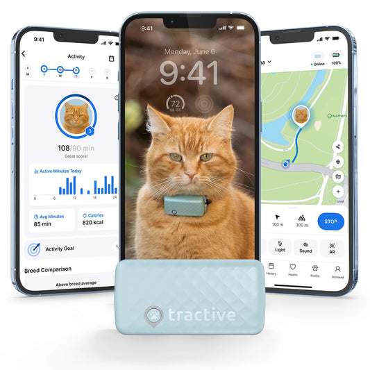 Cat Mini GPS Tracker with Activity Monitoring, Fits Any Collar (Mint)