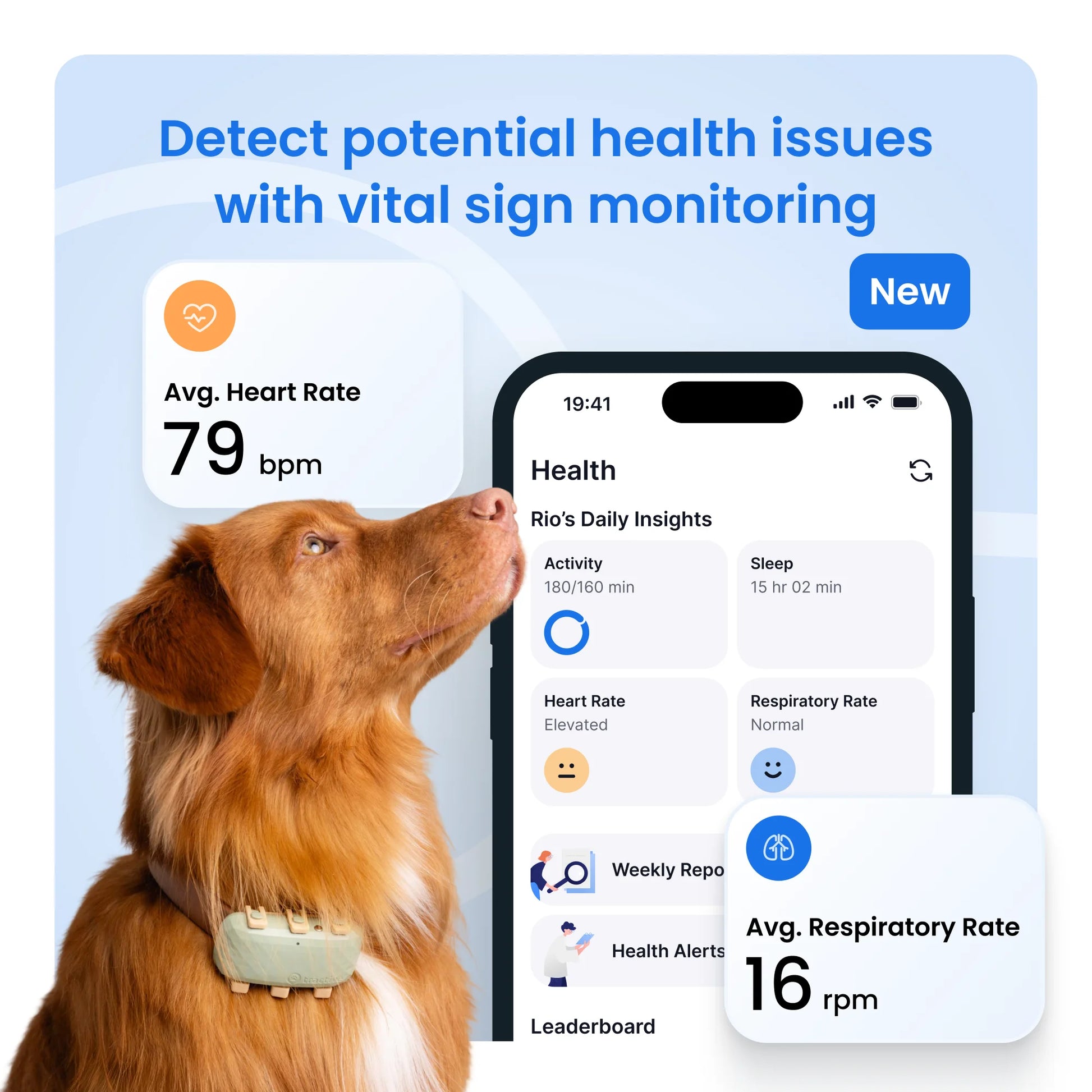 XL Smart Dog GPS Tracker with Vital Signs Monitoring (Green)