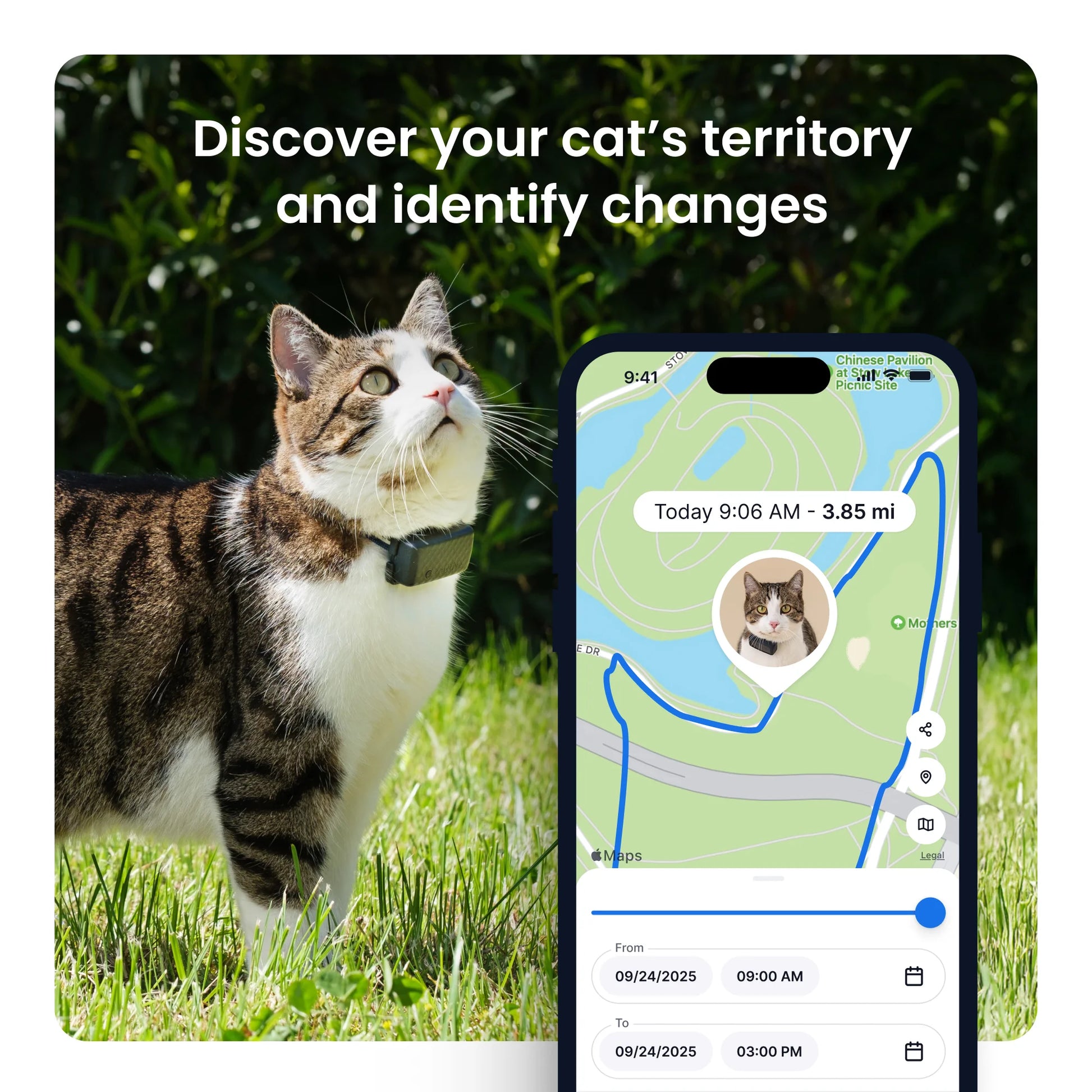 Cat Mini GPS Tracker with Activity Monitoring, Fits Any Collar (Mint)