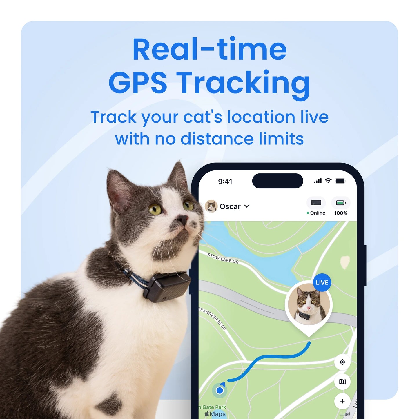 Cat Mini GPS Tracker with Activity Monitoring, Fits Any Collar (Mint)