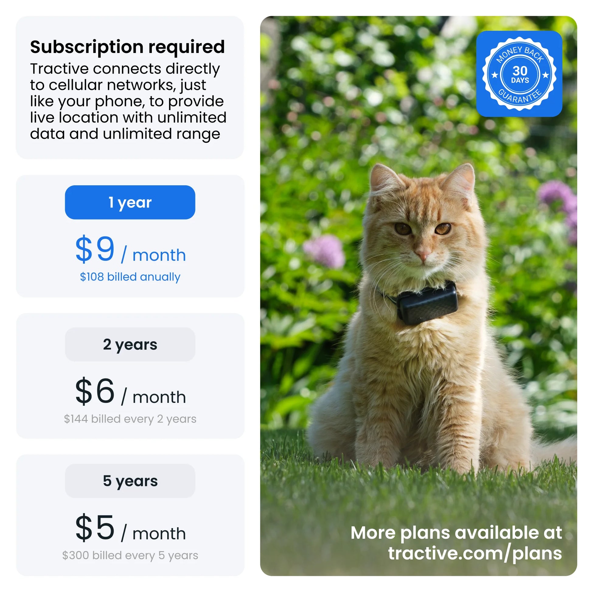 Cat Mini GPS Tracker with Activity Monitoring, Fits Any Collar (Mint)