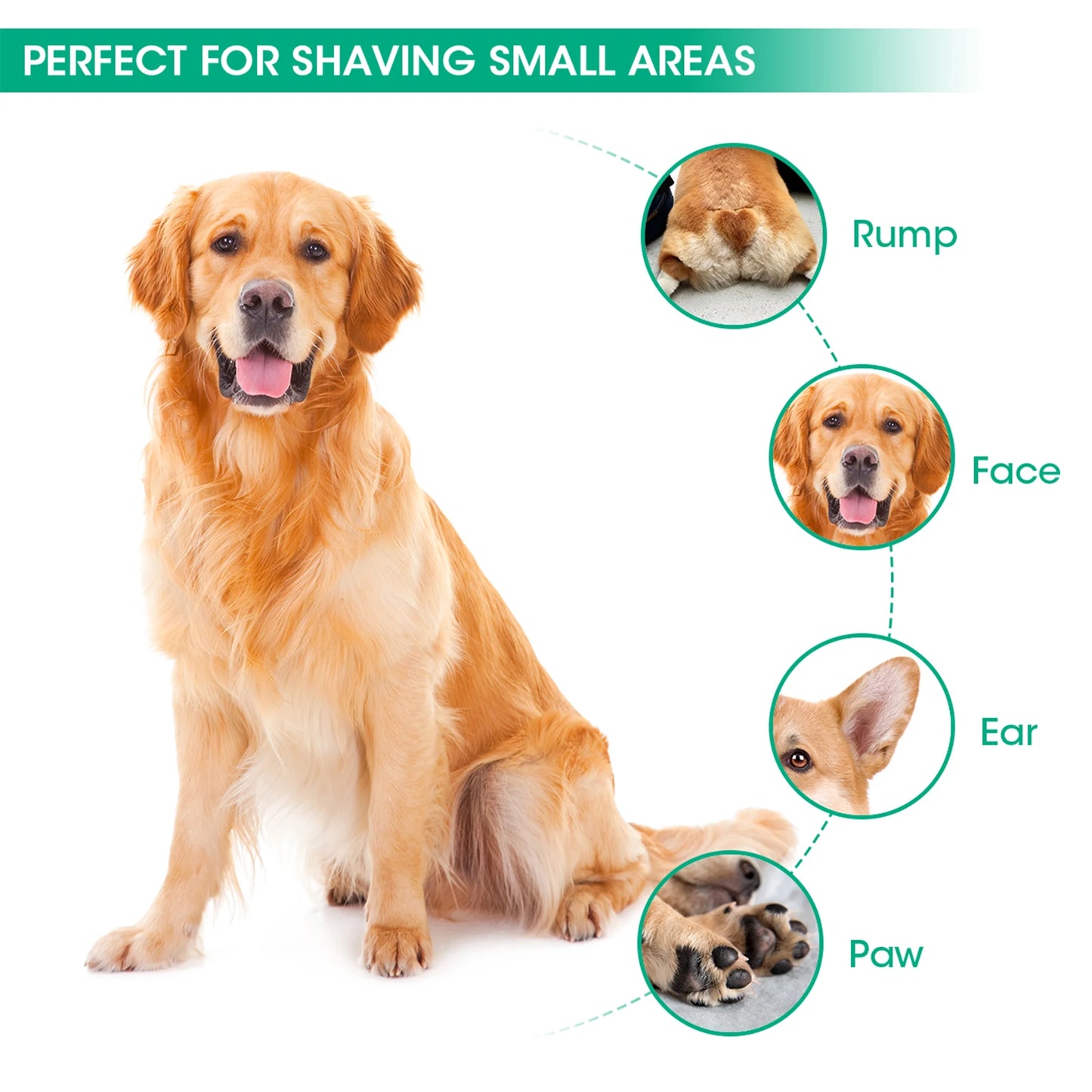 N5-2 Paw Trimmer for Dogs, 2 in 1 Low Noise Dog Paw Trimmer for Grooming, Pet Hair Grooming Trimmer, Teal