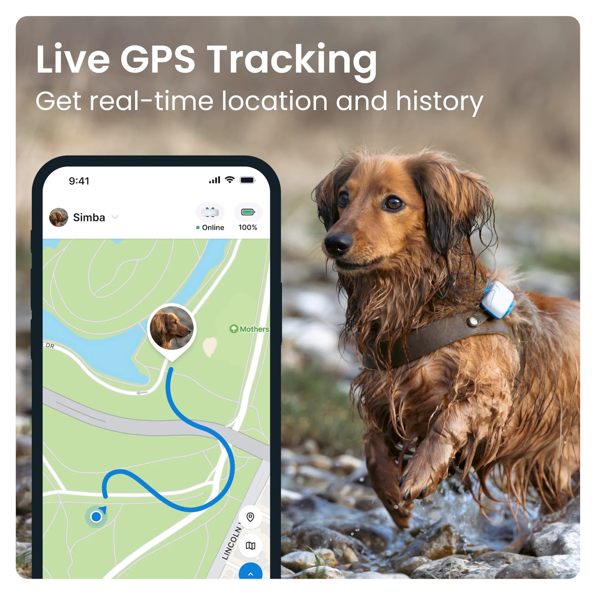 Dog GPS Tracker with Activity Monitoring, Fits Any Collar (White)