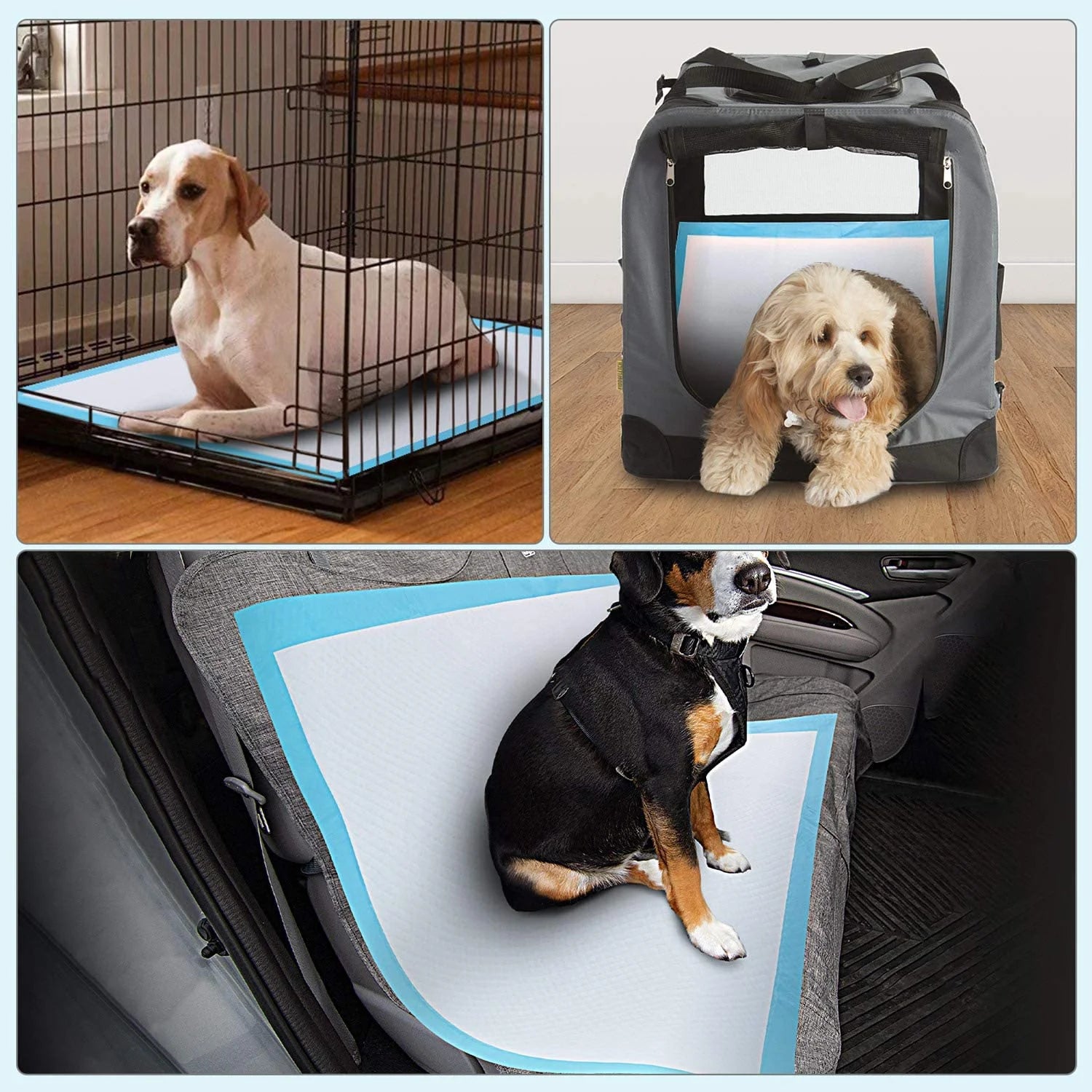 50Count Disposable Dog Training Pads XL Pet Pee Pads 28X34 in Potty Pads Premium Absorbent