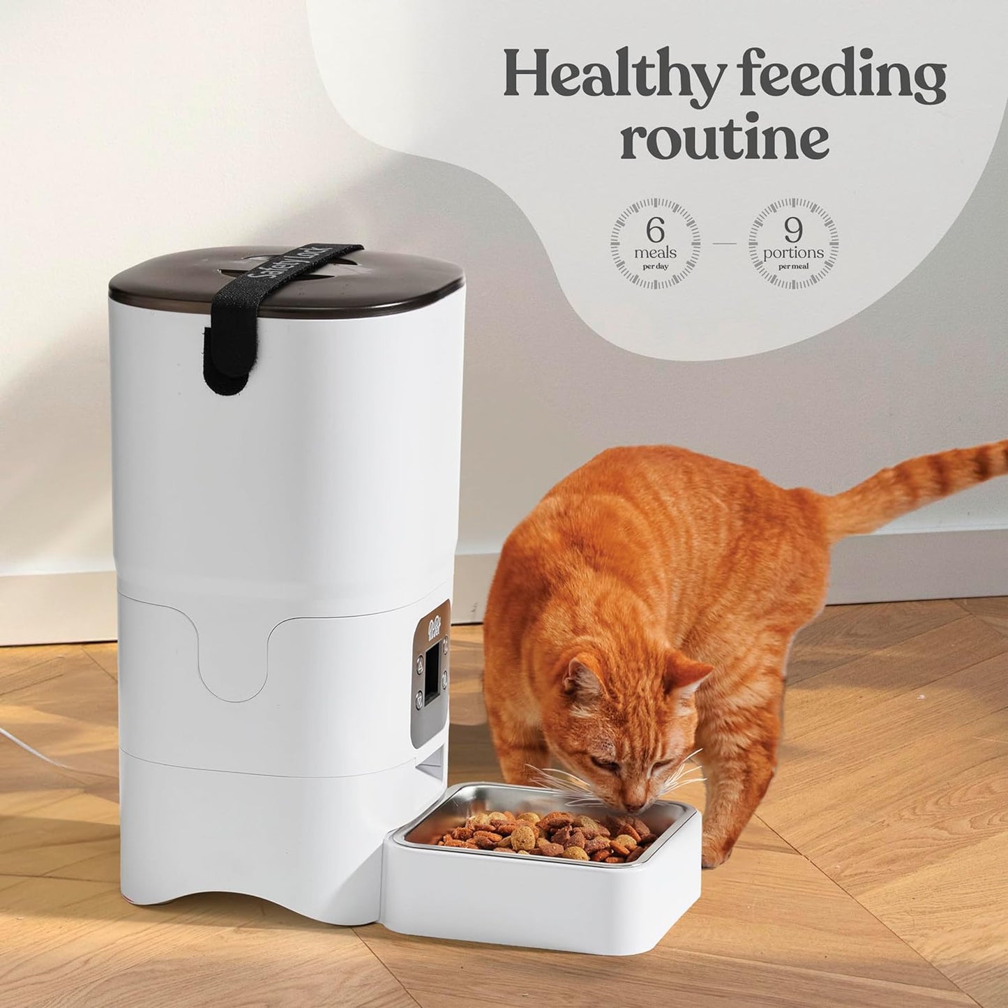 Smart Automatic Cat or Dog Feeder - 6-L Reliable Automatic Cat Food Dispenser with Display LCD Screen for Easy Set up
